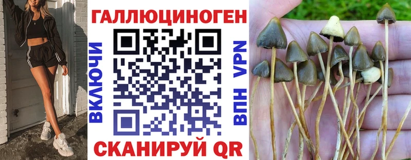Галлюциногенные грибы ЛСД  купить наркоту  ссылка на мегу как войти  Городище 